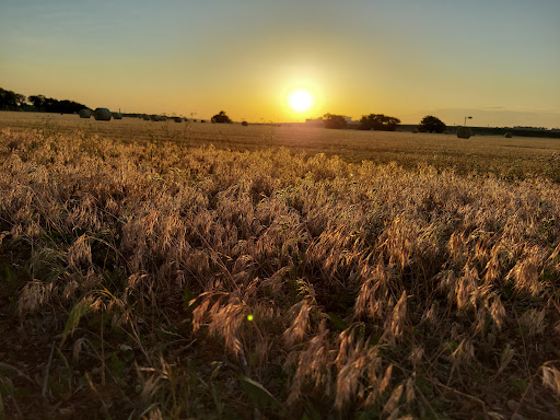 Recreation Center «Roanoke Recreation Center», reviews and photos, 501 Roanoke Rd, Roanoke, TX 76262, USA
