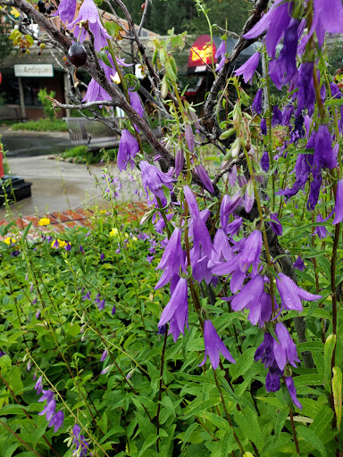 Restaurant «The Little Bear», reviews and photos, 28075 CO-74, Evergreen, CO 80439, USA