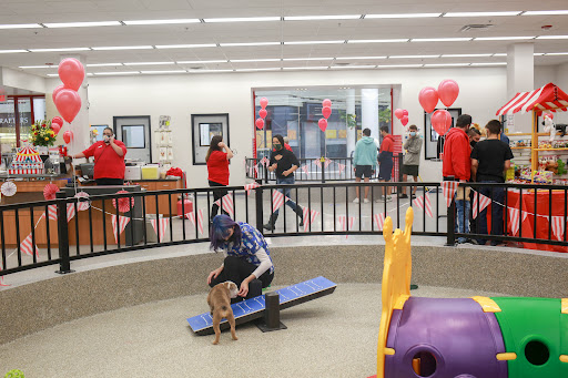 Pet Store «Animal Kingdom», reviews and photos, 4500 N Oracle Rd #254, Tucson, AZ 85705, USA