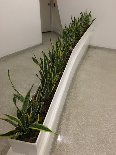 Modern Art Museum «Solomon R. Guggenheim Museum», reviews and photos, 1071 5th Ave, New York, NY 10128, USA