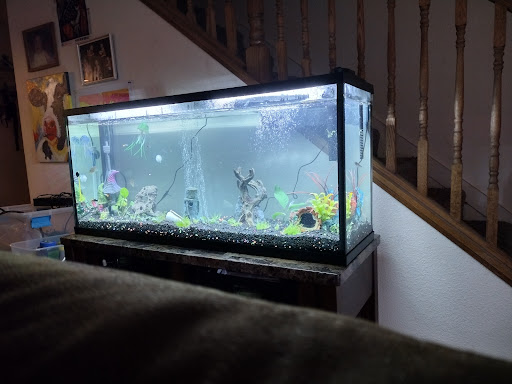 Pet Store «The Pet Works», reviews and photos, 407 4th Ave E, Olympia, WA 98501, USA