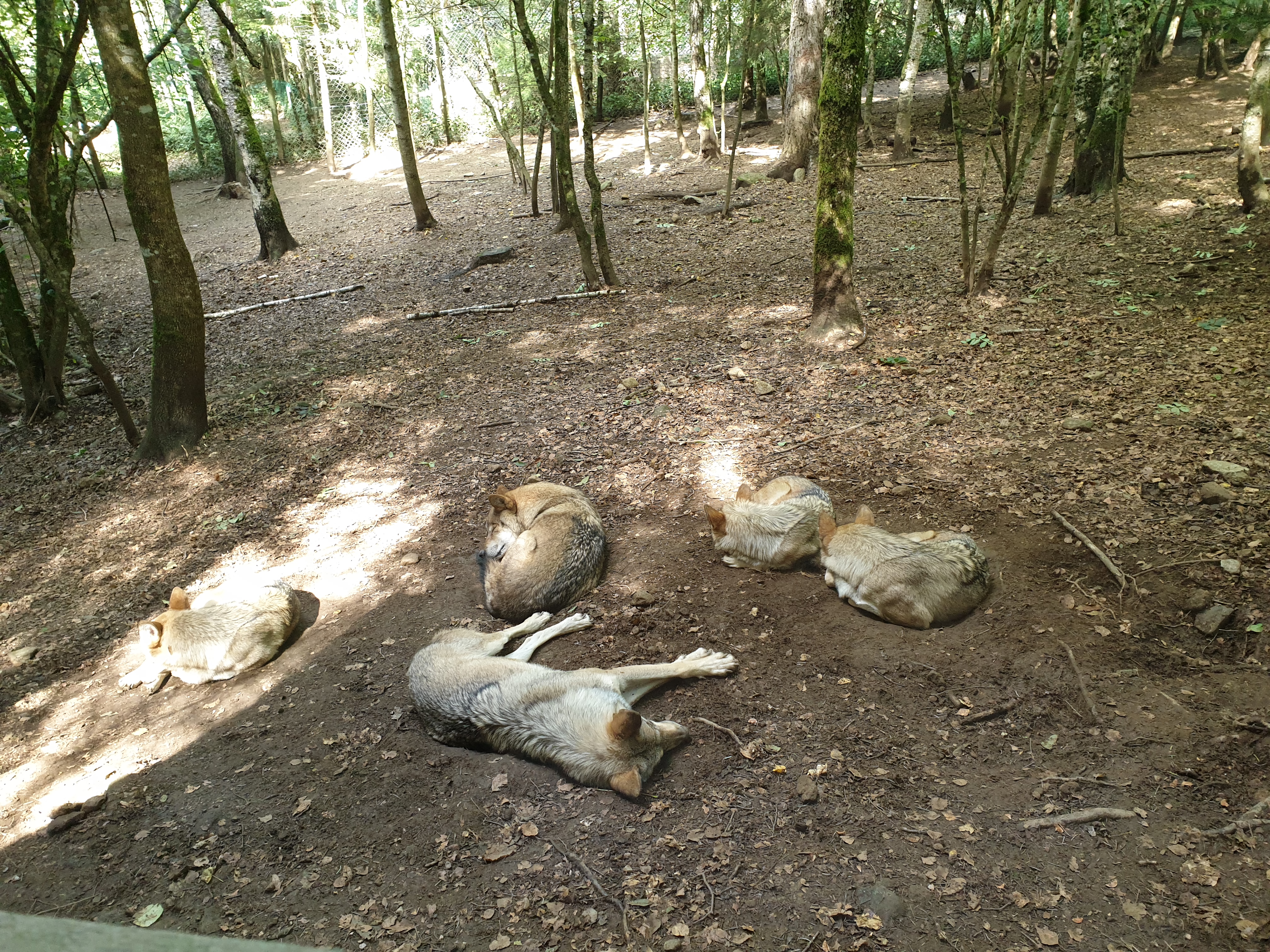 Photo n° 8 de l'avis de Sarah.h fait le 16/09/2020 à 12:45