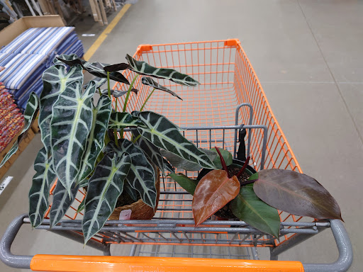 Home Improvement Store «The Home Depot», reviews and photos, 8334 Tamarack Village, Woodbury, MN 55125, USA