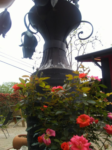 Coffee Shop «Wake the Dead Coffee House», reviews and photos, 1432 Old Ranch Rd 12, San Marcos, TX 78666, USA