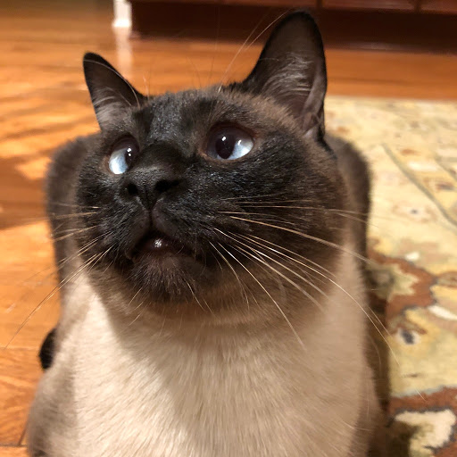 Pet Supply Store «PetSmart», reviews and photos, 1717 PA-228 d, Cranberry Twp, PA 16066, USA