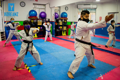 Taekwondo Koreamz