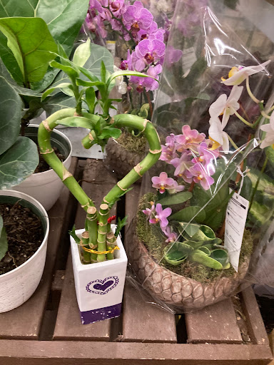 Home Improvement Store «The Home Depot», reviews and photos, 5858 Sawmill Rd, Dublin, OH 43017, USA