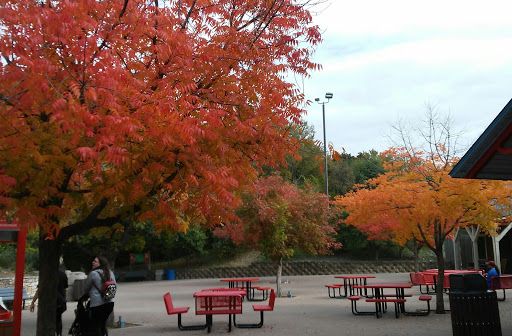 Zoo «Cameron Park Zoo», reviews and photos, 1701 N 4th St, Waco, TX 76707, USA