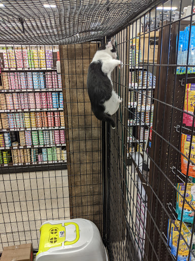 Pet Supply Store «Premier Pet Supply», reviews and photos, 15399 Merriman Rd, Livonia, MI 48154, USA