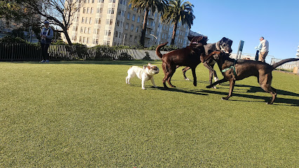 Lafayette Park Dog Play Area