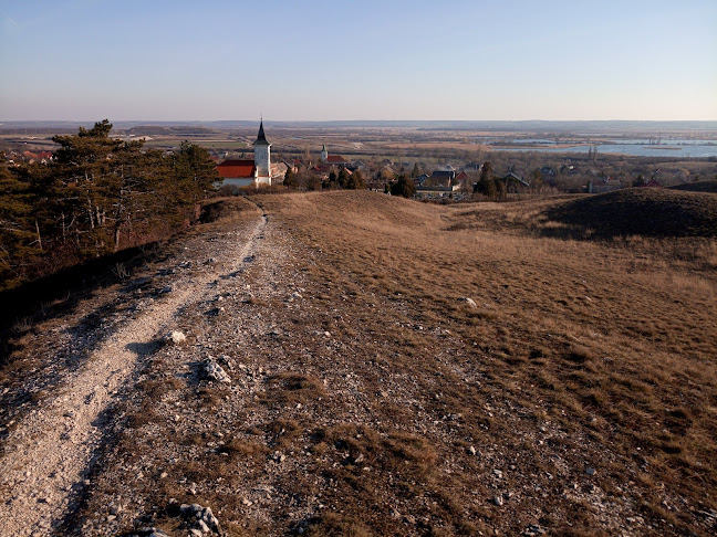 Várpalota, 8100 Magyarország