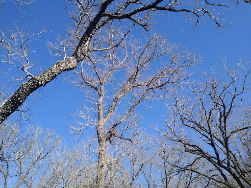 Nature Preserve «Jackson Nature Park», reviews and photos, 9284 County Rd 401, Stockdale, TX 78160, USA
