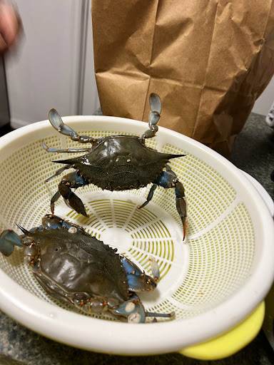 Asian Grocery Store «Nihao Seafood and Oriental Market», reviews and photos, 2148 W Tennessee St, Tallahassee, FL 32304, USA