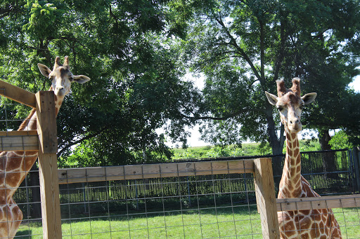 Day Care Center «Little Lambs Day Care, Inc.», reviews and photos, 837 Sumneytown Pike, Lansdale, PA 19446, USA