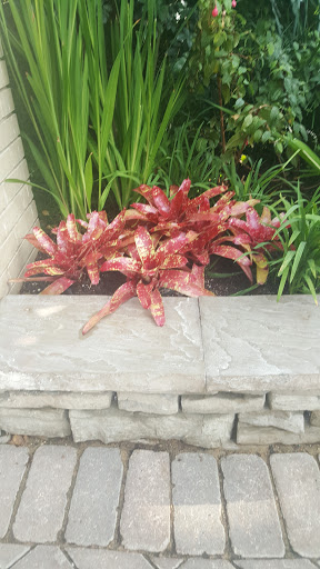 Park «Garfield Park Conservatory», reviews and photos, 300 N Central Park Ave, Chicago, IL 60624, USA