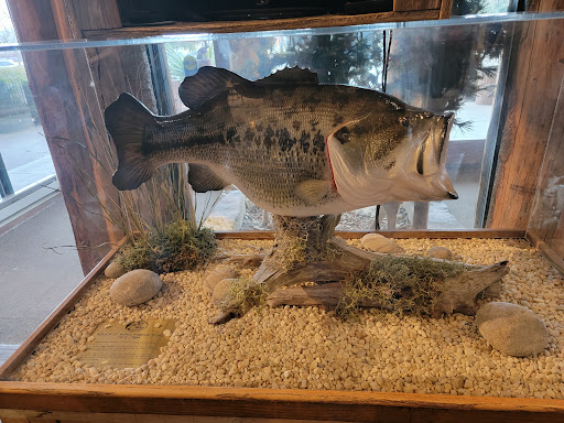 Sporting Goods Store «Bass Pro Shops», reviews and photos, 2501 Bass Pro Dr, Grapevine, TX 76051, USA