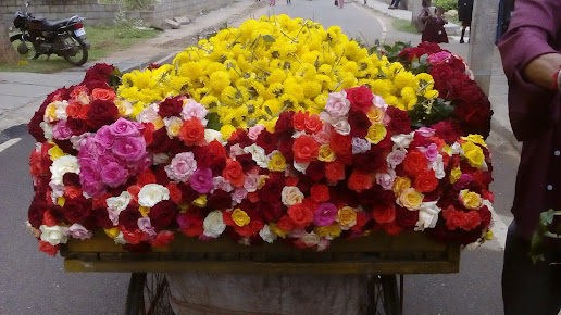 Google Maps image 13