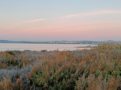 SALTSø TORREVIEJA