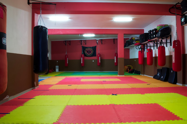 Avaliações doADMSC - Associação Desportiva Marcial Samora Correia em Benavente - Academia