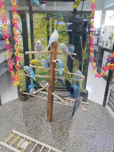 Pet Supply Store «Petco Animal Supplies», reviews and photos, 1301 S California Blvd, Walnut Creek, CA 94596, USA