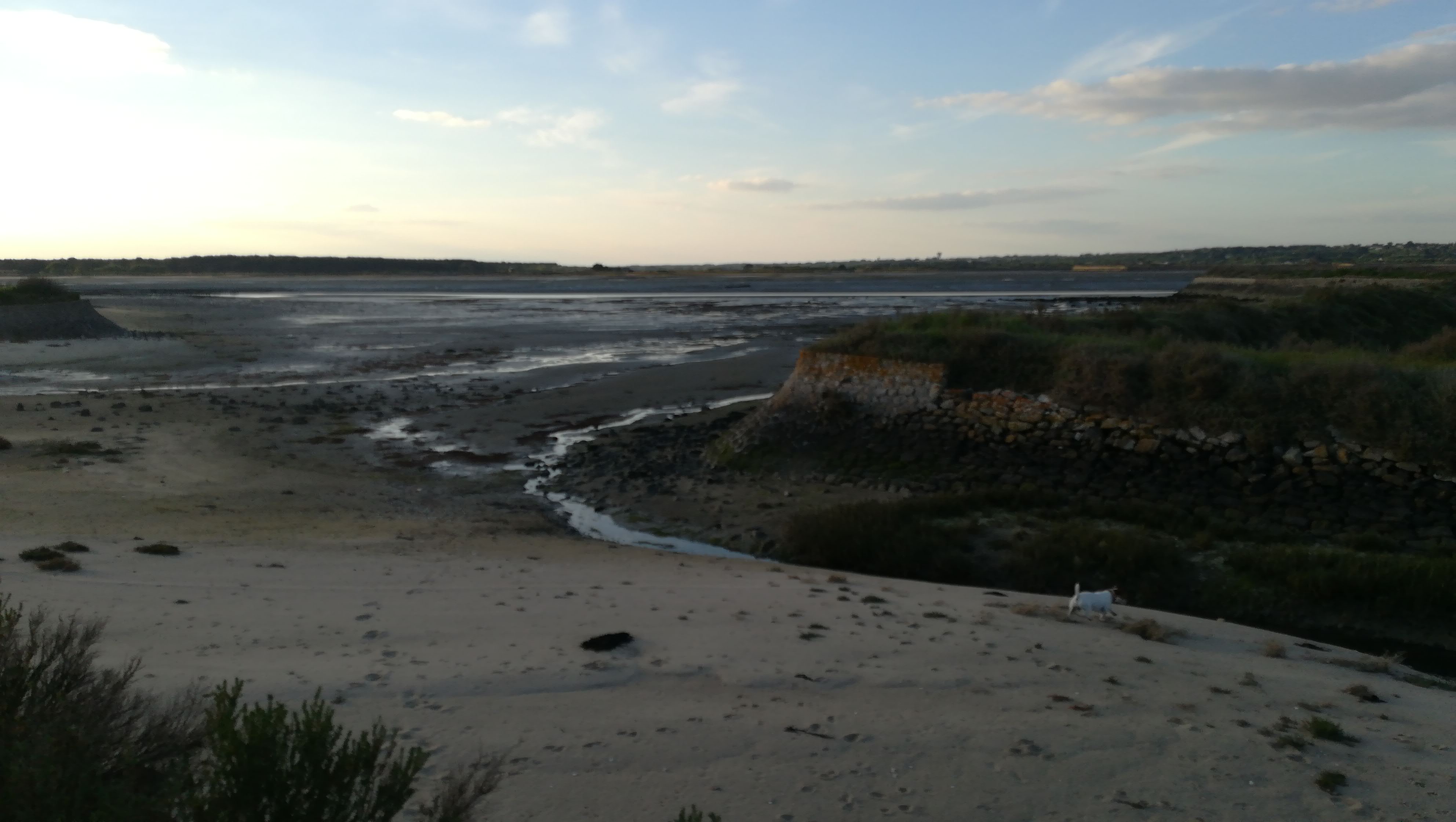 Photo n° 3 de l'avis de faustine.i fait le 03/10/2019 à 14:45