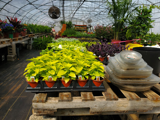 Garden Center «Beachside Gardens & Gifts», reviews and photos, 3725 US-12, Michigan City, IN 46360, USA