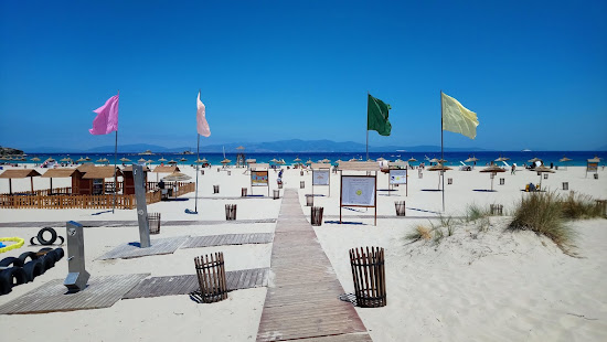 Dalia Beach