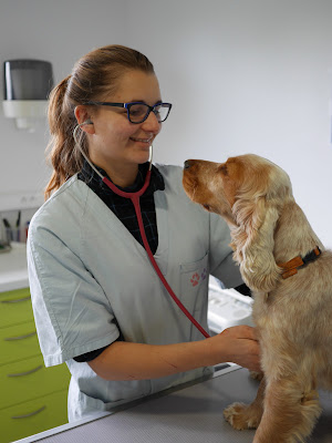 Clinique Vétérinaire Des Deux Rivières ( Urgences 24/24 ) à Loireauxence