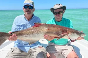 Sarasota Family Fishing Charters image