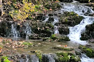 U.S. Army Corps of Engineers Mill Springs Park image