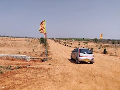 Google Maps image 19