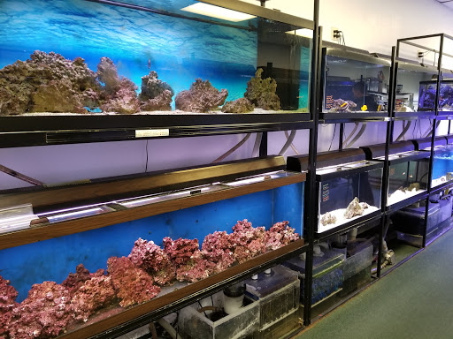 Tropical Fish Store «Seascape Aquatics», reviews and photos, 5038 Academy Blvd N, Colorado Springs, CO 80918, USA