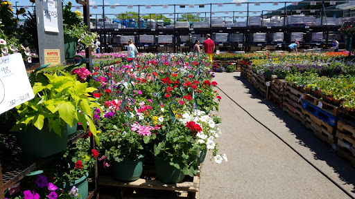 Home Improvement Store «Menards», reviews and photos, 740 E Rand Rd, Mt Prospect, IL 60056, USA