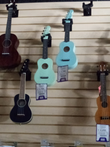 Gama Music Tienda de instrumentos musicales San Pedro Valle