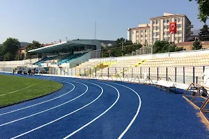 Mustafa Asım Alkış Stadı image