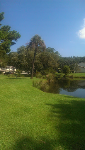 Park «Pigeon Point Park», reviews and photos, 1521 Pigeon Point Rd, Beaufort, SC 29902, USA