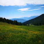 Photo n°5 de l'avis de Armin.t fait le 07/07/2019 à 09:35 sur le  Linderalm à Valler Tal