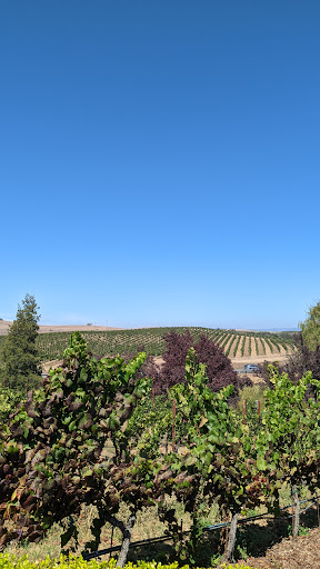 Winery «Domaine Carneros», reviews and photos, 1240 Duhig Rd, Napa, CA 94559, USA