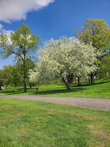 Golf Course «Brookview Golf Course», reviews and photos, 200 Brookview Pkwy S, Golden Valley, MN 55426, USA