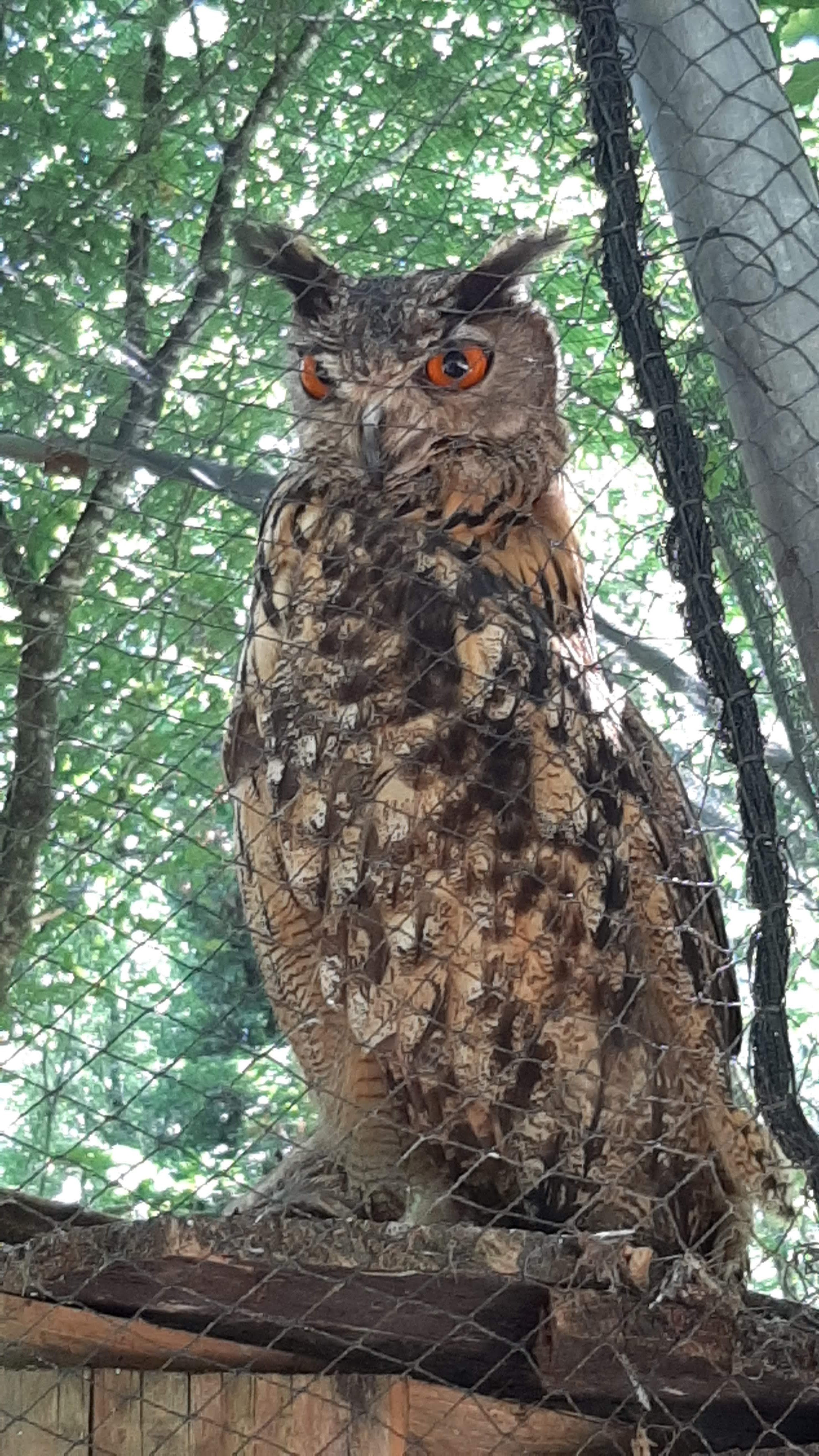 Photo n° 3 de l'avis de Max. fait le 10/08/2021 à 14:29