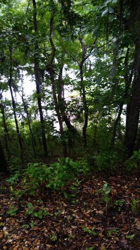 Outdoor Sports Store «Coosa Outdoor Center», reviews and photos, 172 River Rd, Wetumpka, AL 36092, USA