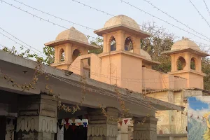 Shri Laxmi Narayan Temple image