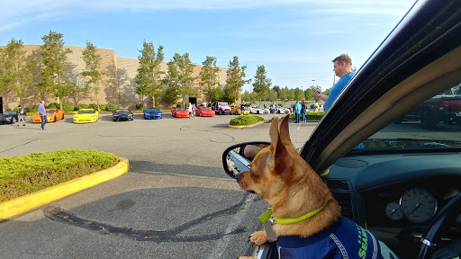 Tire Shop «Discount Tire Store - Lakewood, WA», reviews and photos, 2214 84th St S, Lakewood, WA 98499, USA