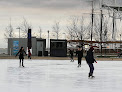 Harbourfront Centre Rink