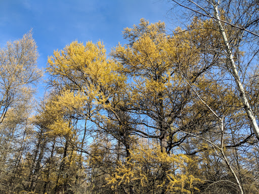 Nature Preserve «Tom S Cooperrider-Kent Bog State Nature Preserve», reviews and photos, 1028 Meloy Rd, Kent, OH 44240, USA