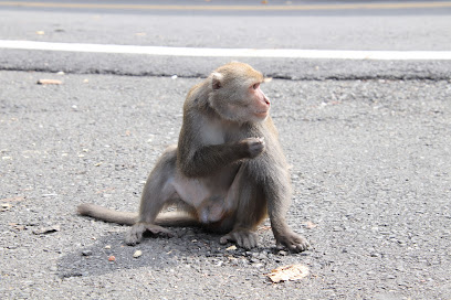 乌山台湾弥猴保护区