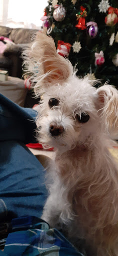 Menifee Animal Hospital image