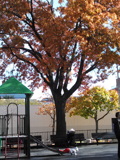 Park «Travers Park», reviews and photos, 76-9 34th Ave, Jackson Heights, NY 11372, USA