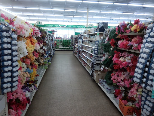 Dollar Store «Dollar Tree», reviews and photos, 1466 N Woodland Blvd, DeLand, FL 32720, USA