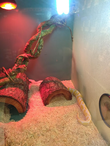 Pet Supply Store «Pet Supplies Plus», reviews and photos, 1354 Ety Rd NW, Lancaster, OH 43130, USA